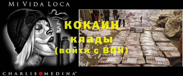 винт Абаза