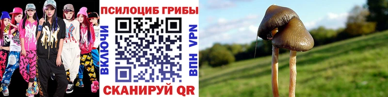 Псилоцибиновые грибы мухоморы  Старый Крым 